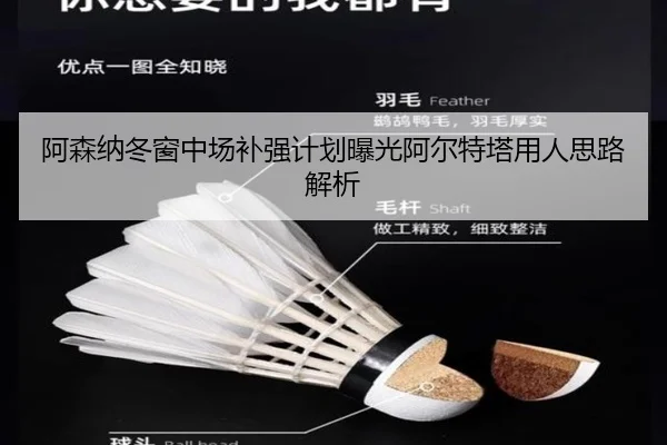 阿森纳冬窗中场补强计划曝光阿尔特塔用人思路解析